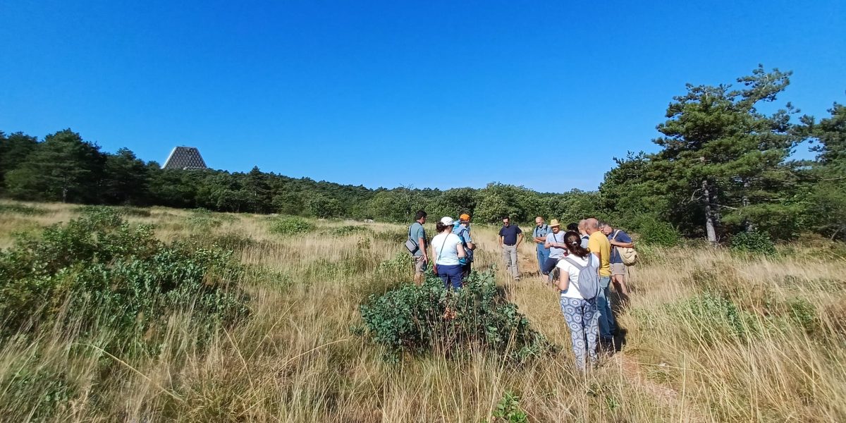 landa carsica monte grisa