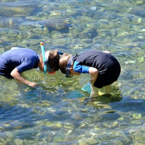 mini_incursioni_seawatching_bimbi_ms